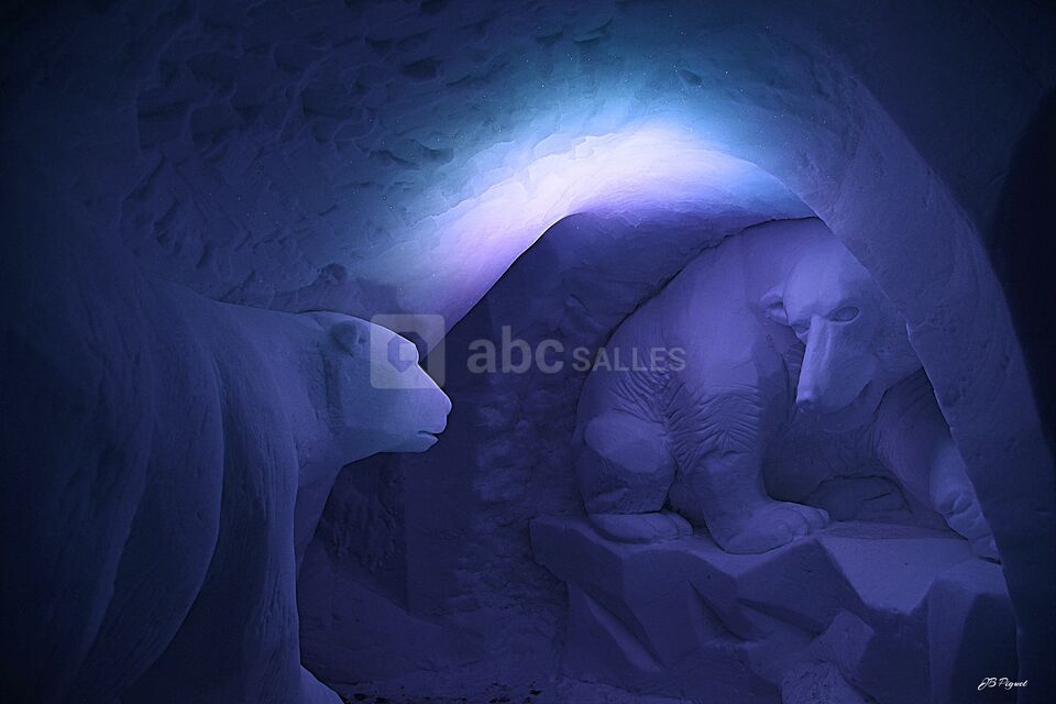Caméléon Igloo Village Les Arcs