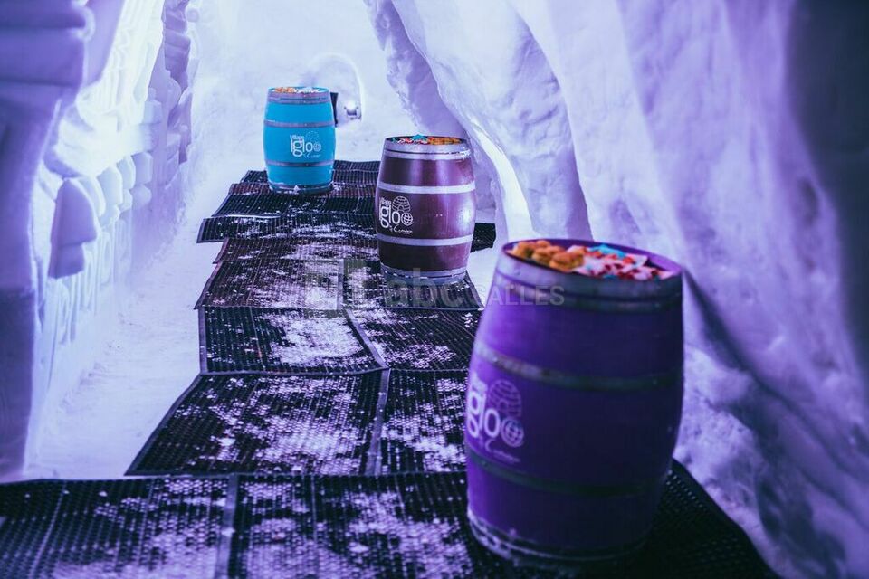 Caméléon Igloo Village La Rosière