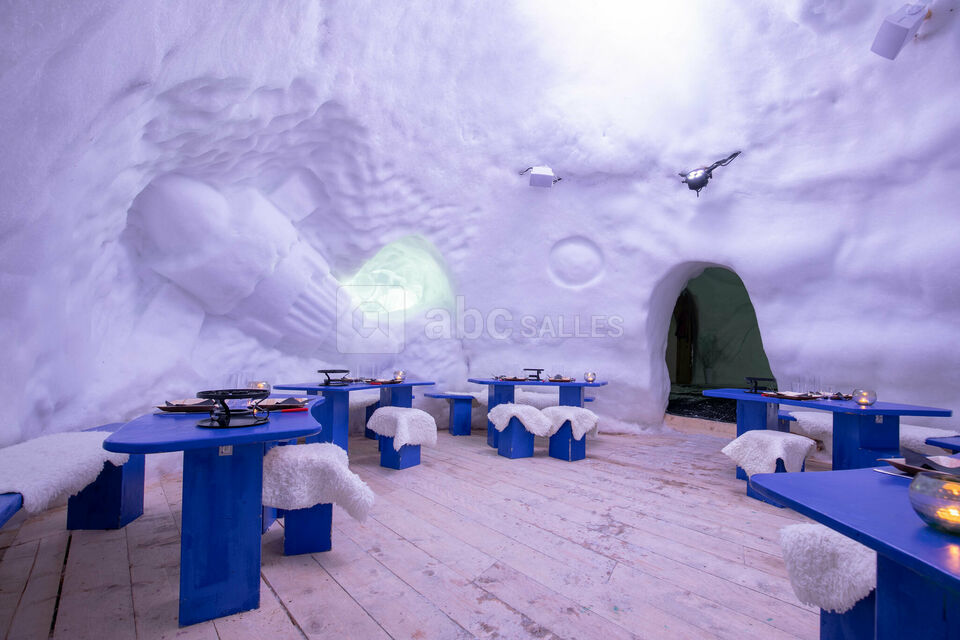 Caméléon Igloo Village Thorens