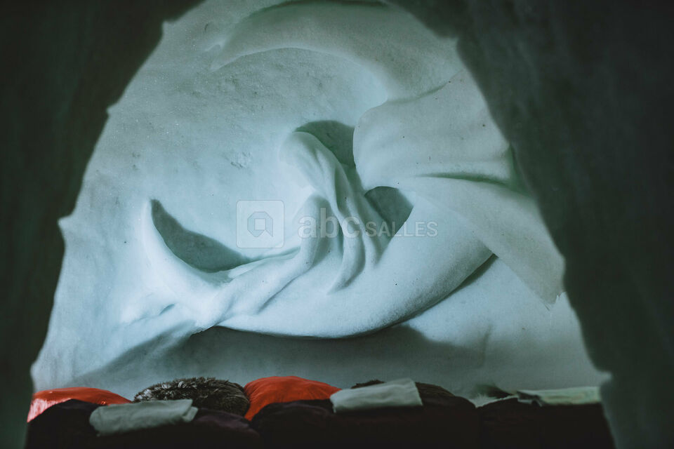 Caméléon Igloo Village Thorens
