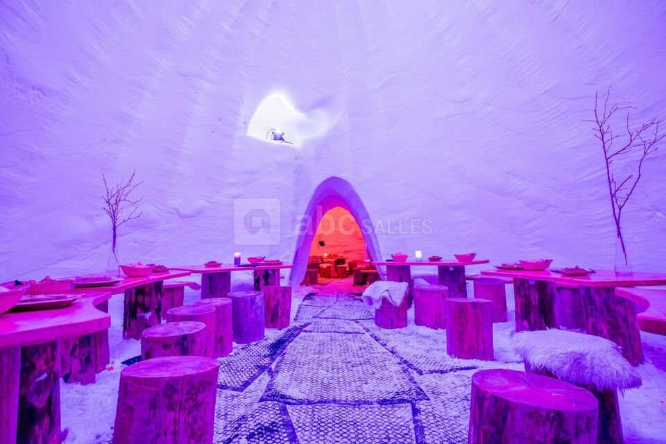 Caméléon Igloo Village Thorens