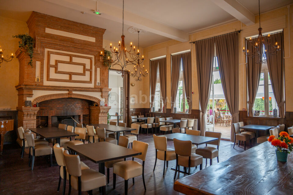 Grand Salon avec cheminée