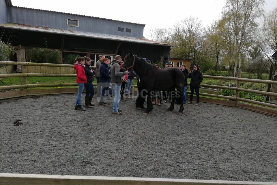 Gîte de la Pointe Ridel