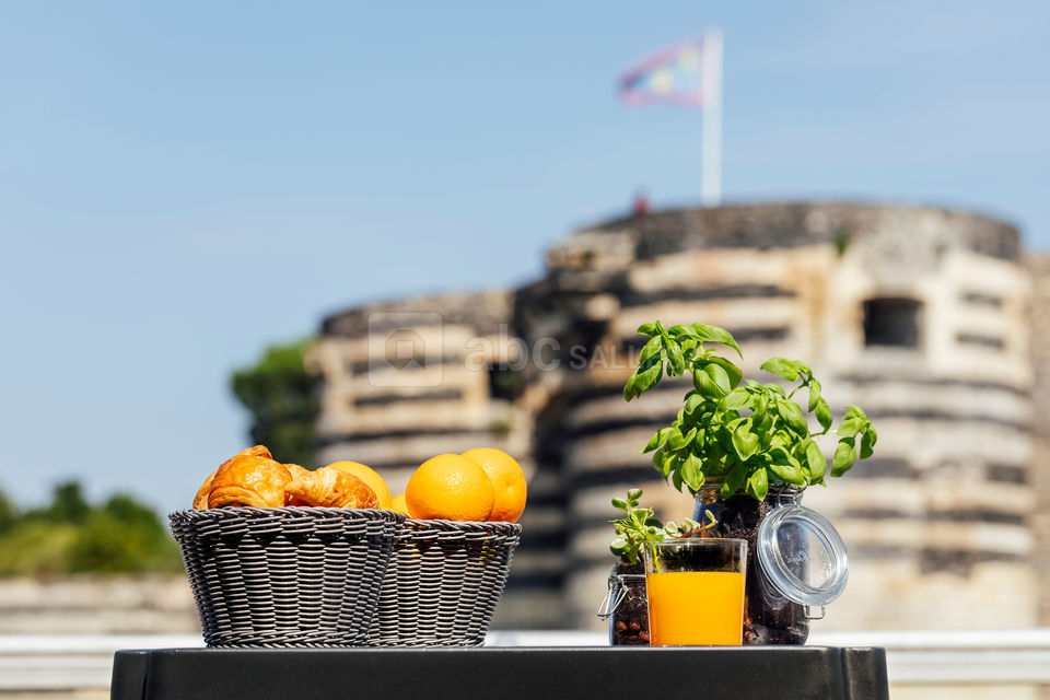 La Terrasse à Angers