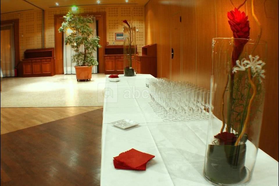 Cocktail dans les salons de l'europe