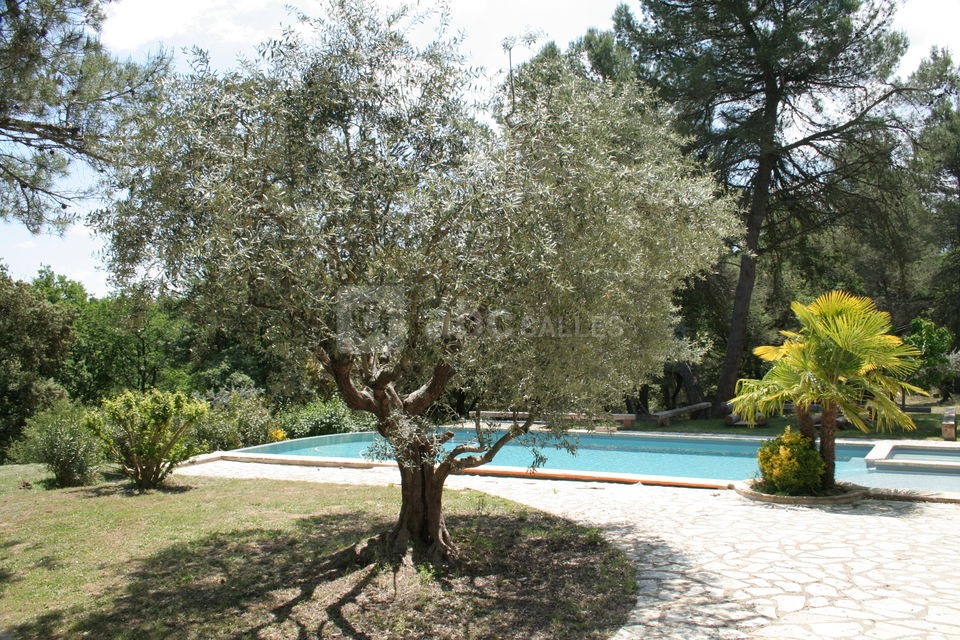 Espace vin d'honneur