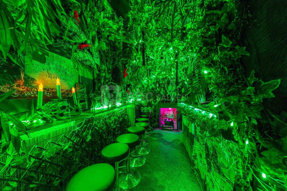 Amazonas Bar
