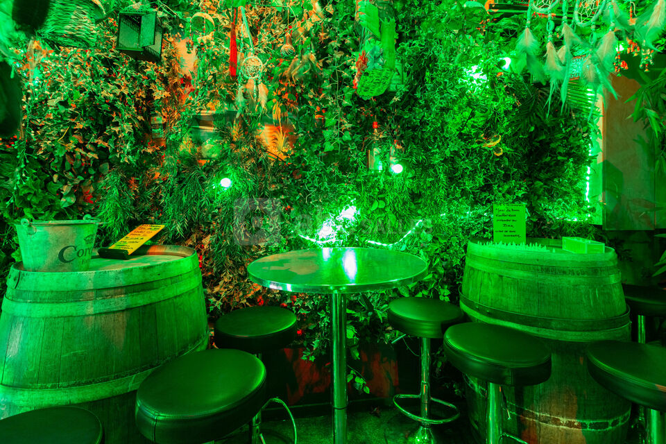 Amazonas Bar