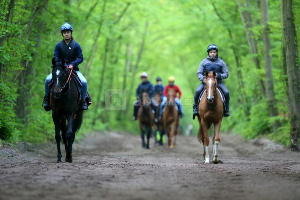 Hippodrome de Chantilly