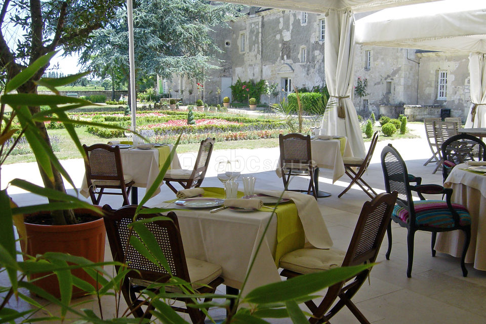 La Terrasse /Le chai