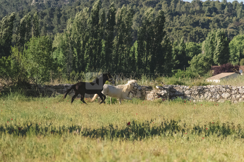 La Grange de Bize-Minervois