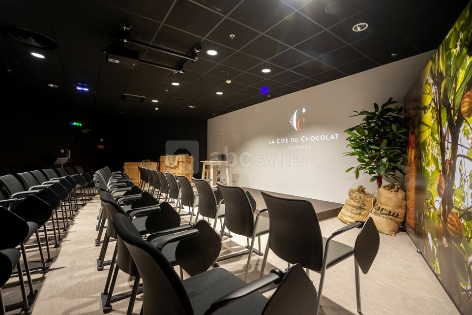 Salle de conférence 45 places