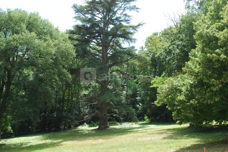 Château Bel Aspect