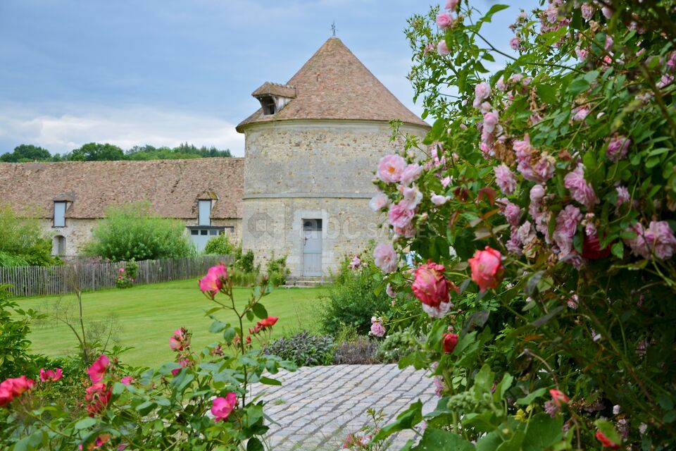 Le pigeonnier et les roses