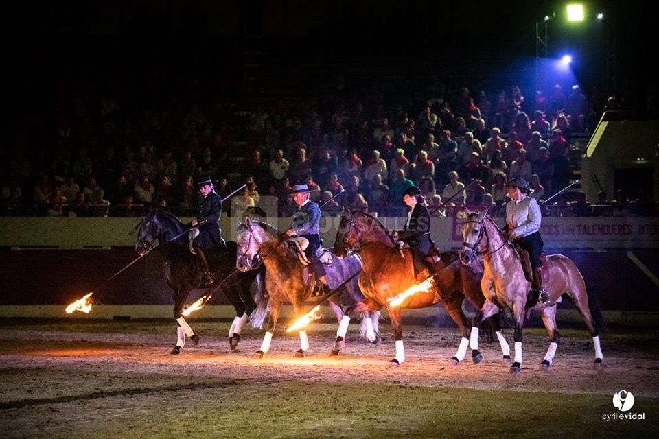 Spectacle équestre privé