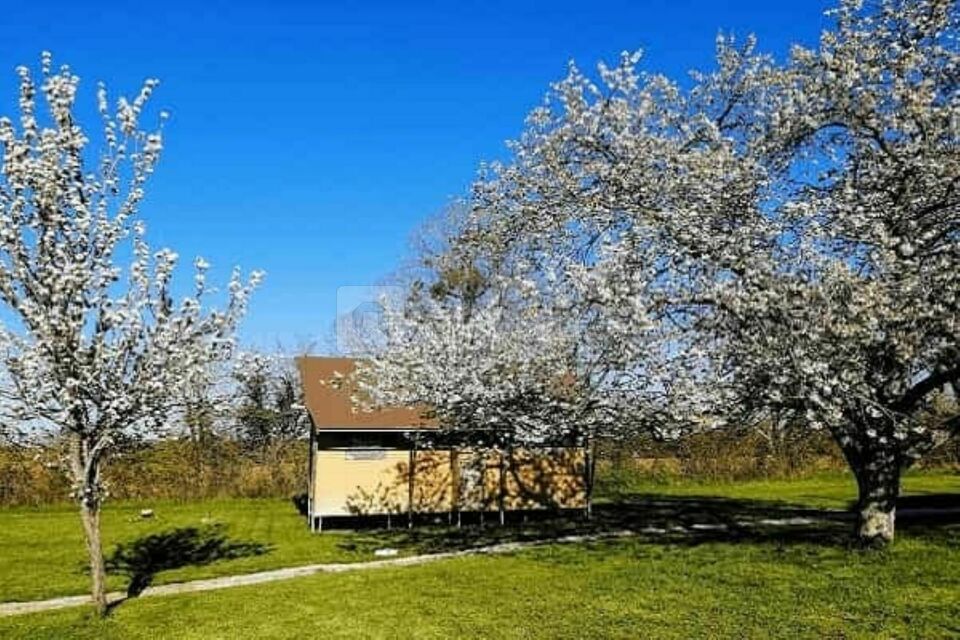 La Borde Ecolodge