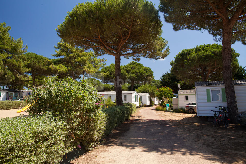 Camping Le Suroit