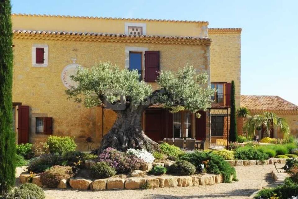 Les Gîtes du Domaine de Montgaillard