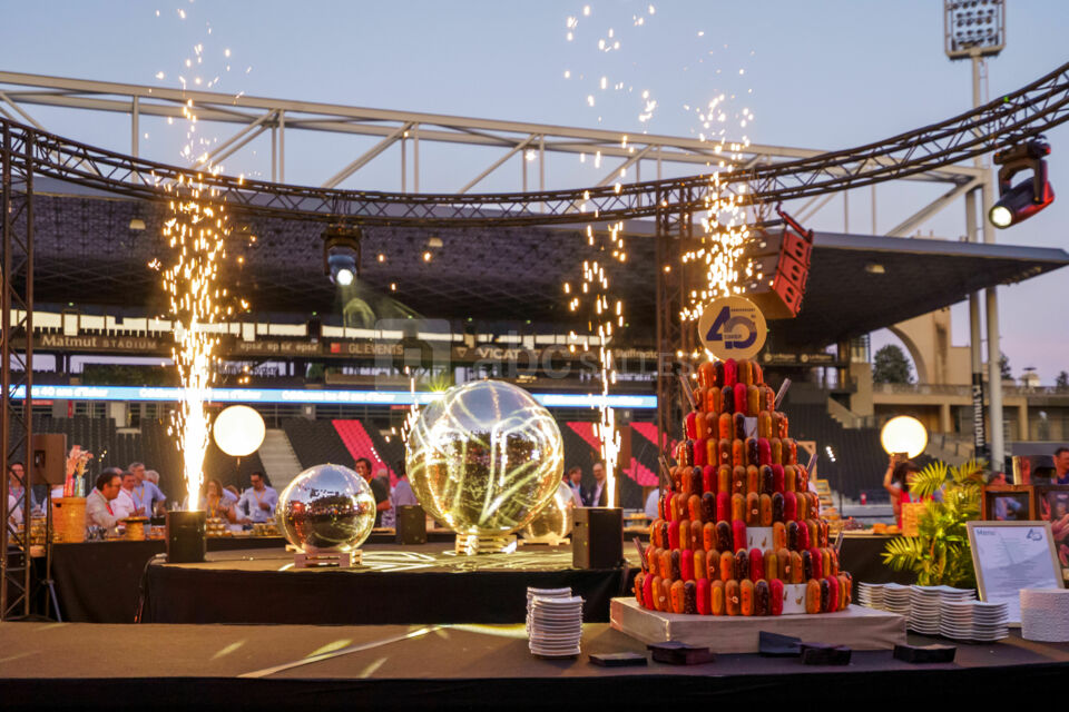 Matmut Stadium - Terrain