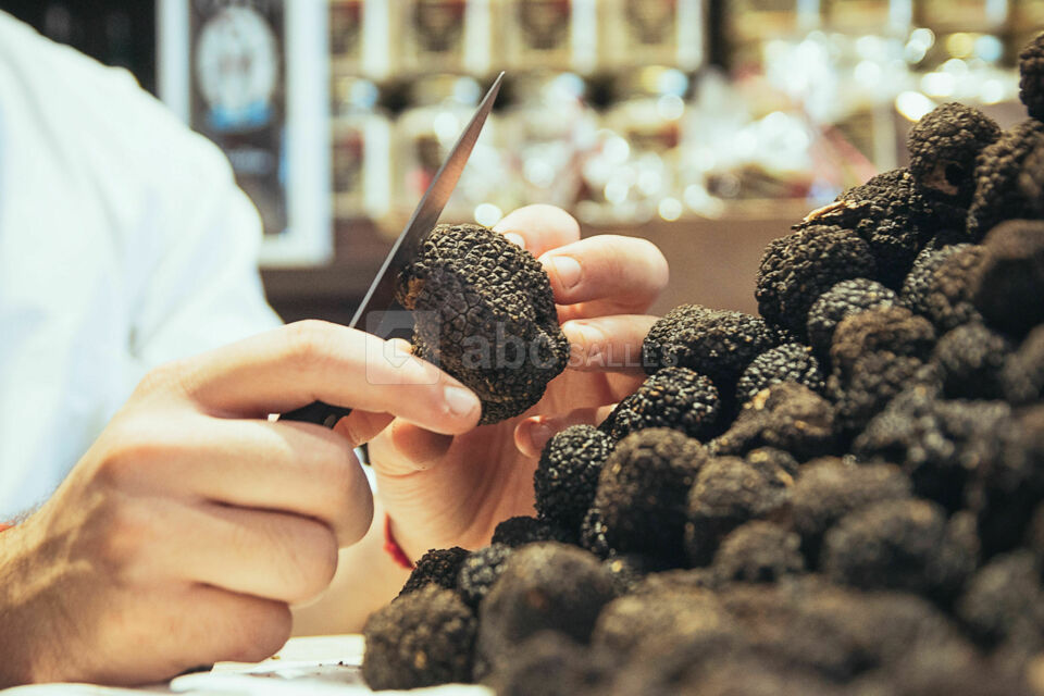 Truffes Folies