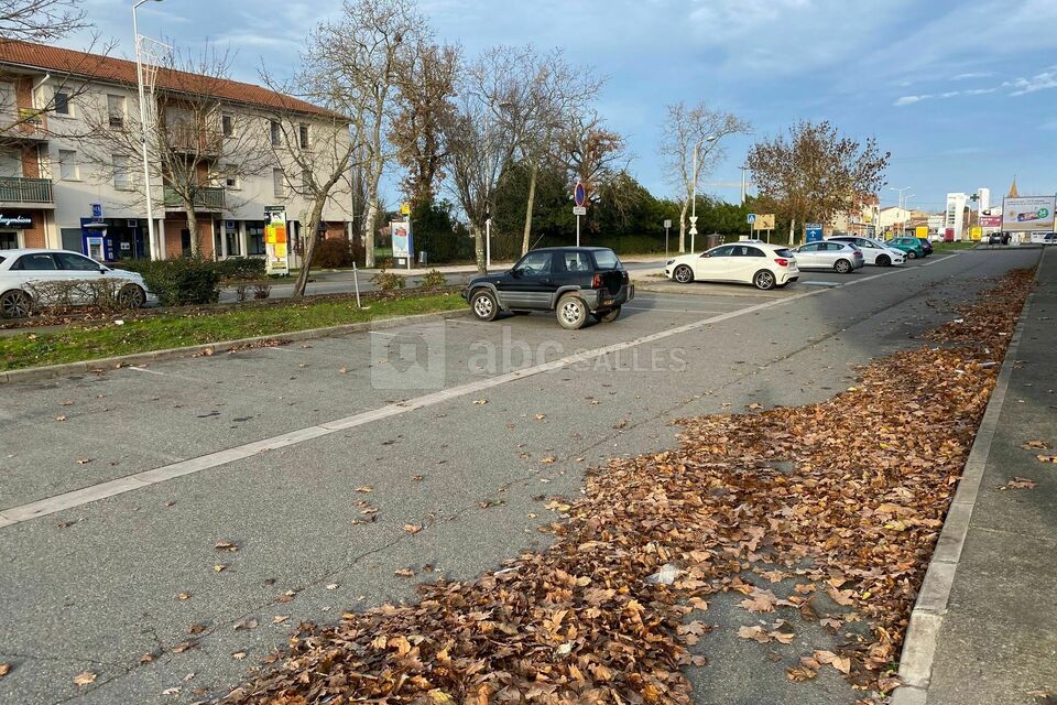 Servadom - Fonsorbes