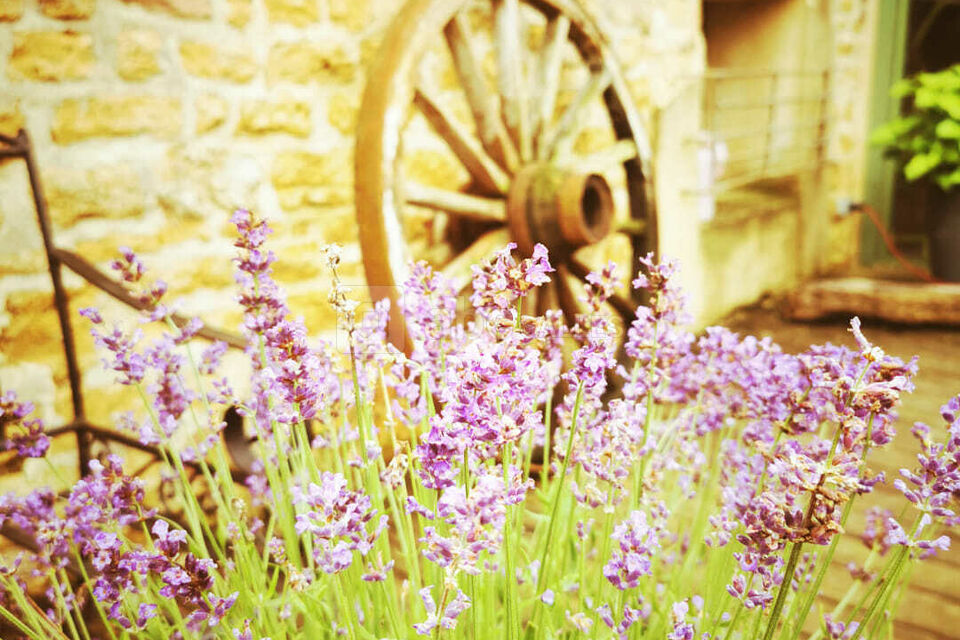 Le Moulin du Grésil