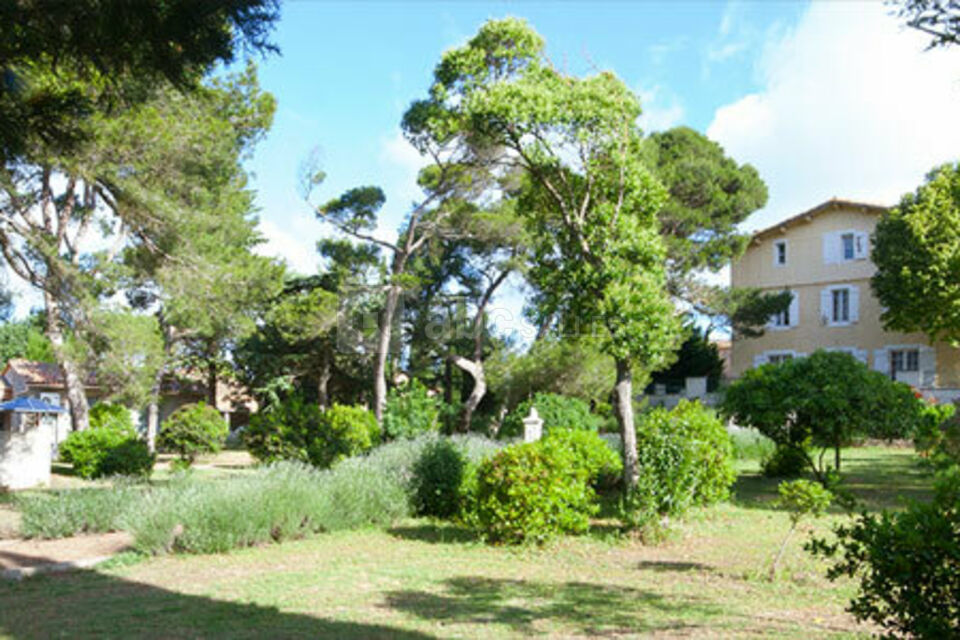 Château Borie Neuve
