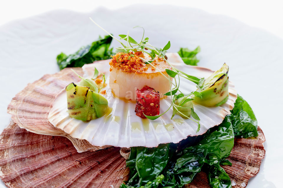 Pur' - Jean-François Rouquette