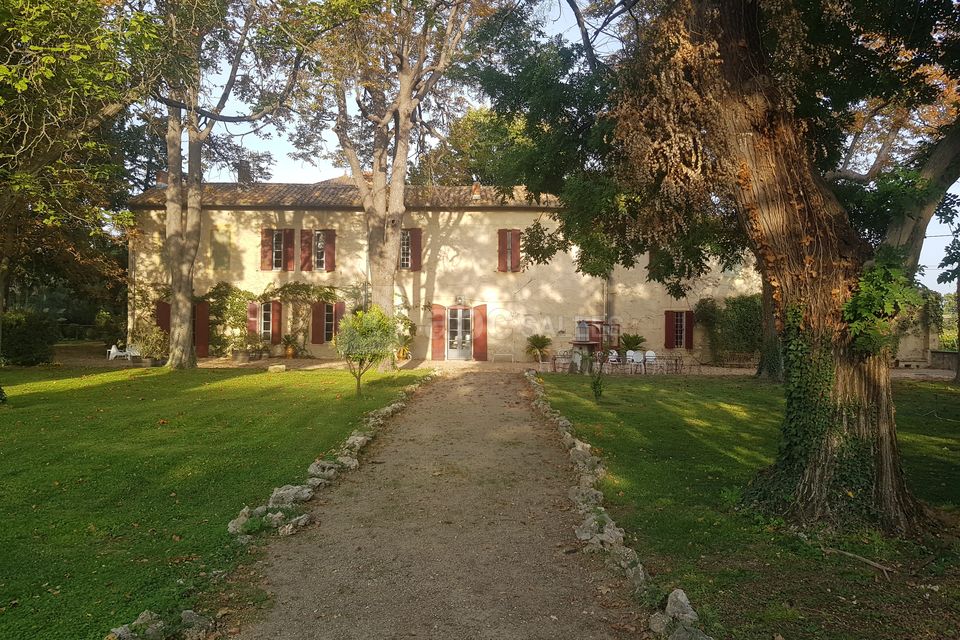Mas St Remy