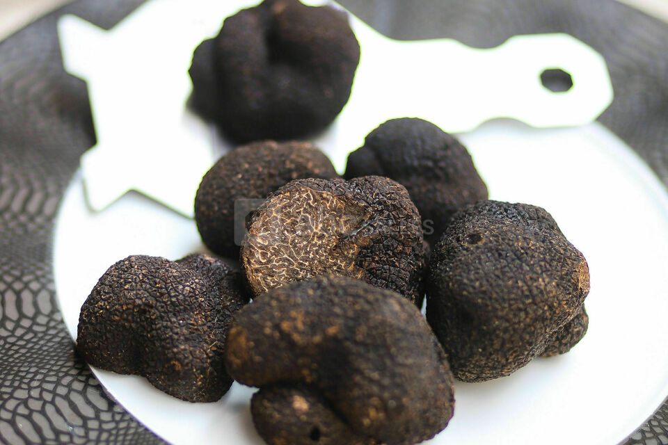 Truffes Folies 8ème