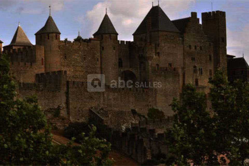 Cité de carcassonne