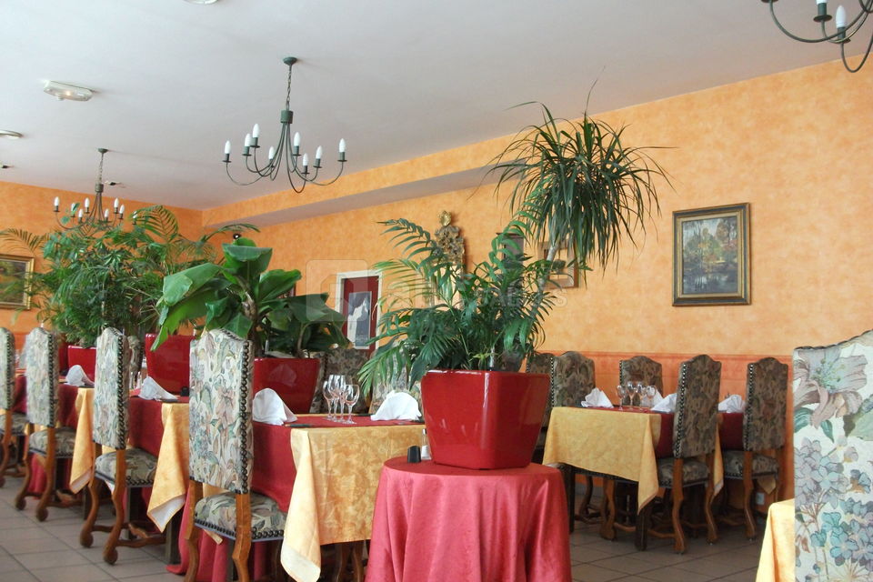 Salle restaurant
