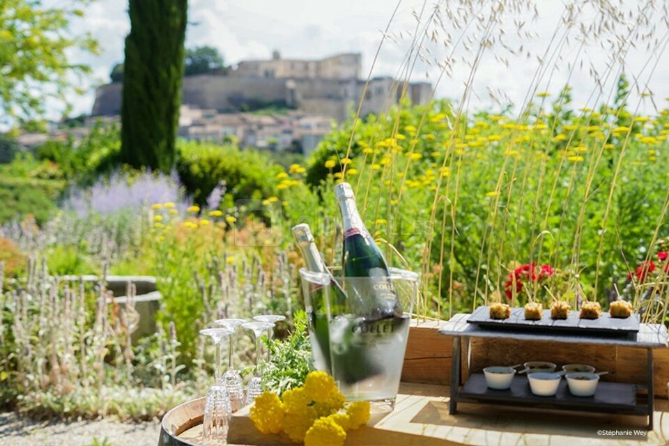 Le Clair de la Plume