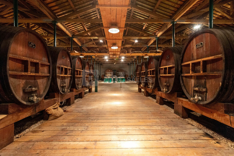 La Maison Noilly Prat