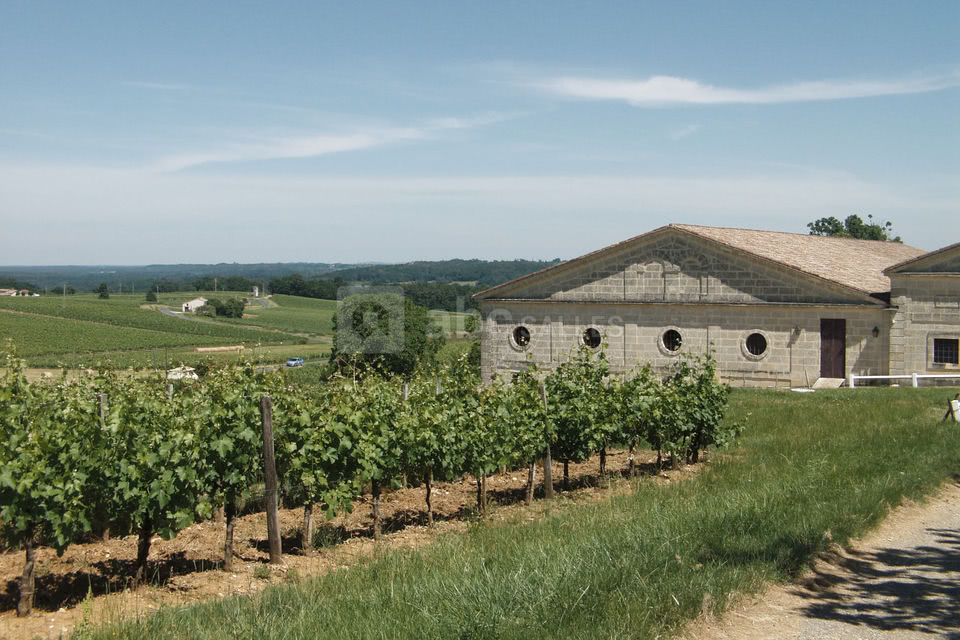 Château Castegens Salle
