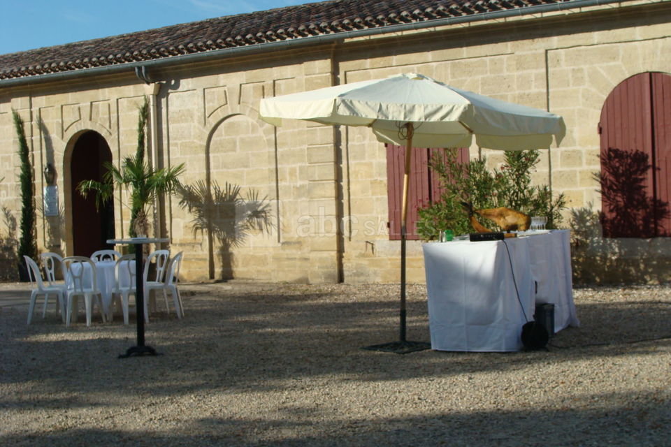 Château Castegens Salle