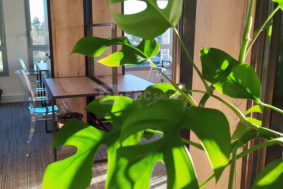 Booster House Coworking