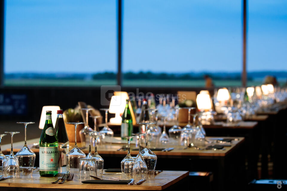 Pure Experience By Bo Ranch