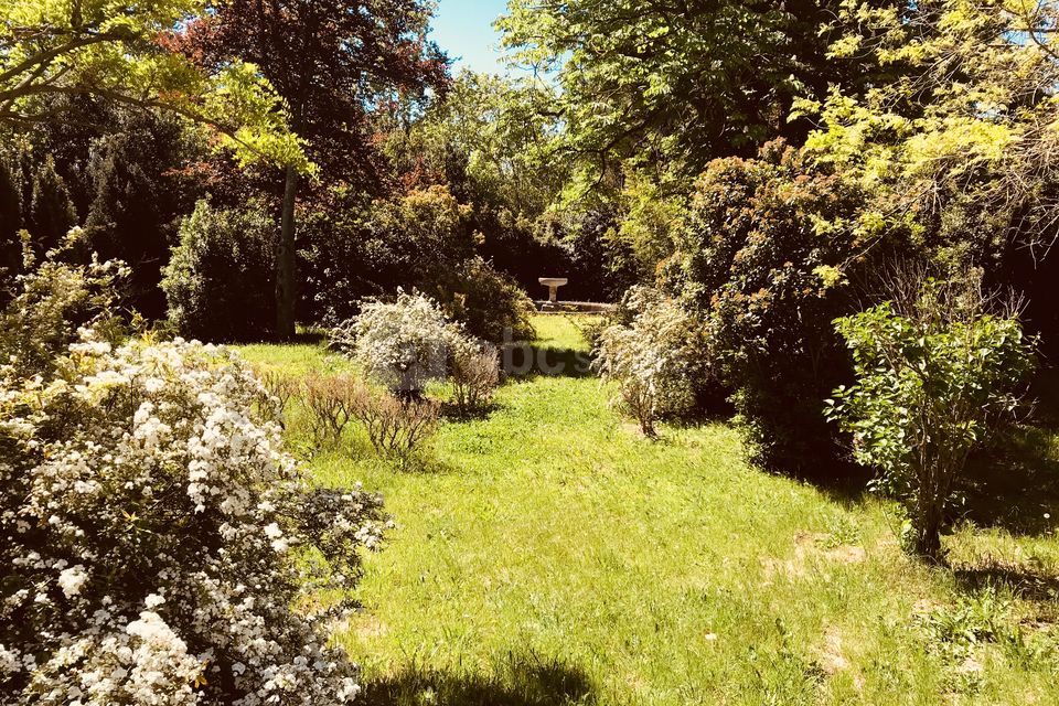 Mont-Riant