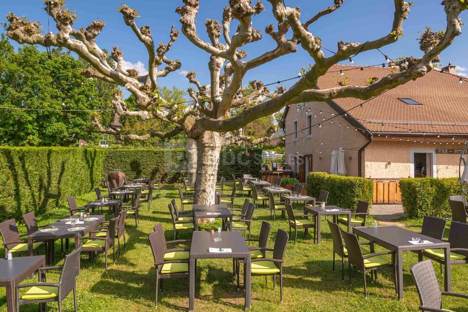 Garden & Cooking