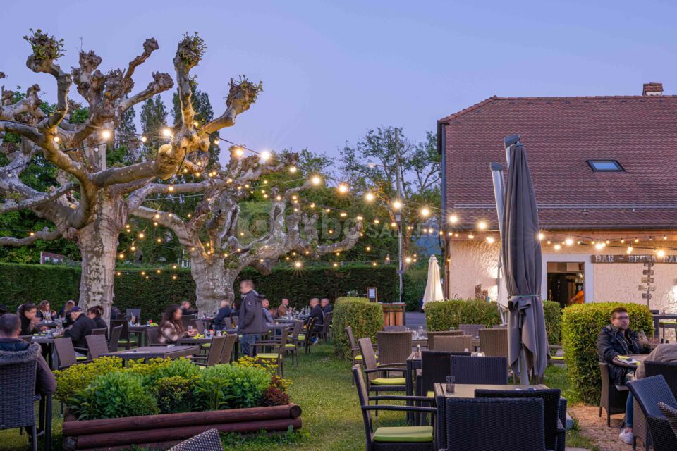 Garden & Cooking