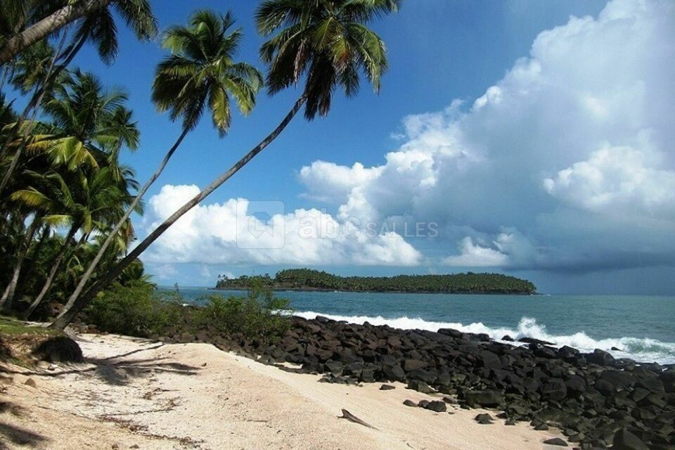 Buro Club Guyane