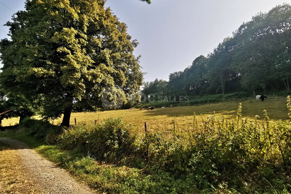 Domaine LVD