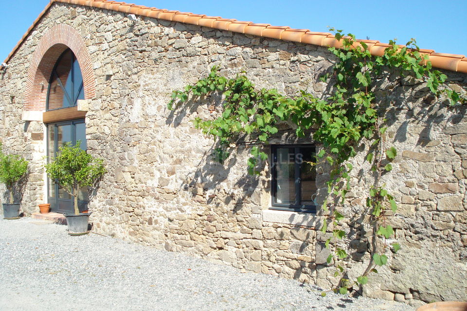 Salle des Cintres