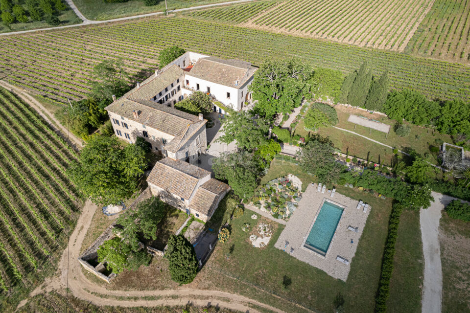 Domaine Celadon