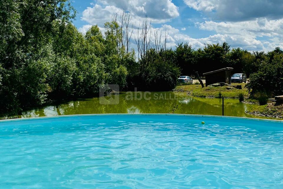 La piscine et l'étang...