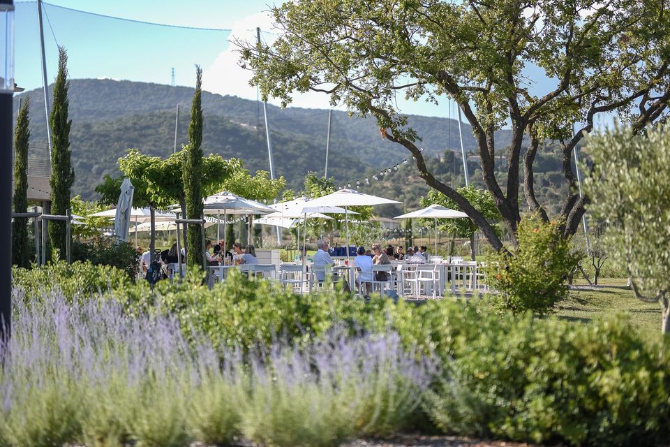 Restaurant LA TABLE des OLIVIERS