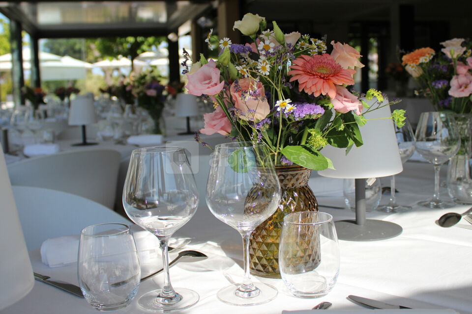 Le Clos des Oliviers Grimaud