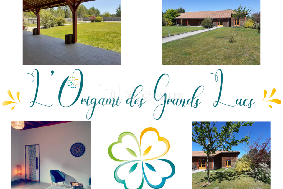 L'Origami des Grands Lacs
