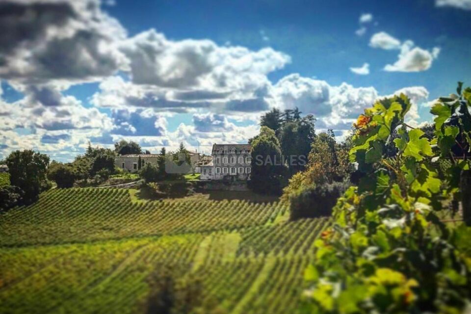 Château la Fontaine
